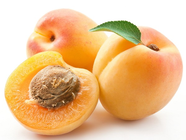 Apricot