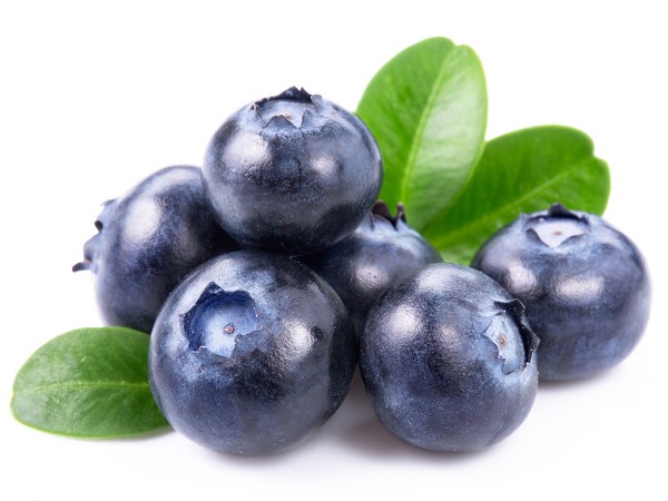 Blueberry