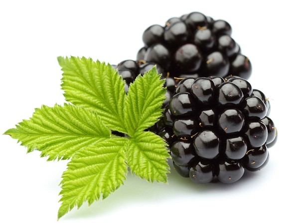 Blackberry