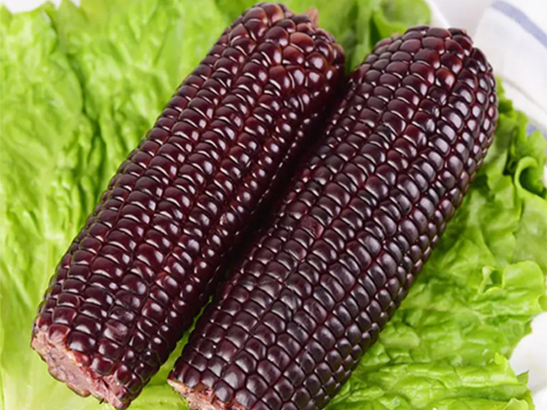 frozen black waxy corn